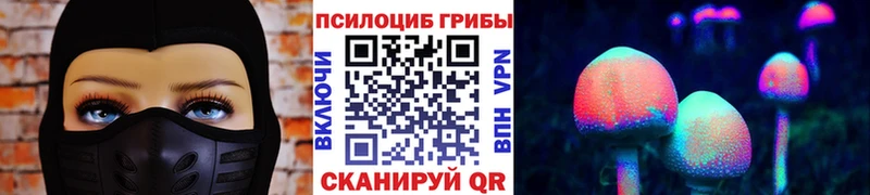 Галлюциногенные грибы Psilocybe  Ряжск 