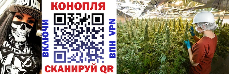 ОМГ ОМГ маркетплейс  Ряжск  Конопля планчик 